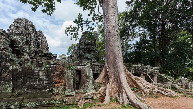 car taxi driver in cambodia, phnom penh to siem reap, angkor wat temple, three day trips