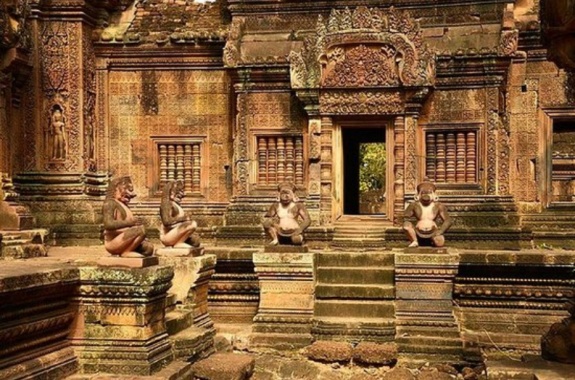Exclusive Cambodia Travel-Batreay Srei temple