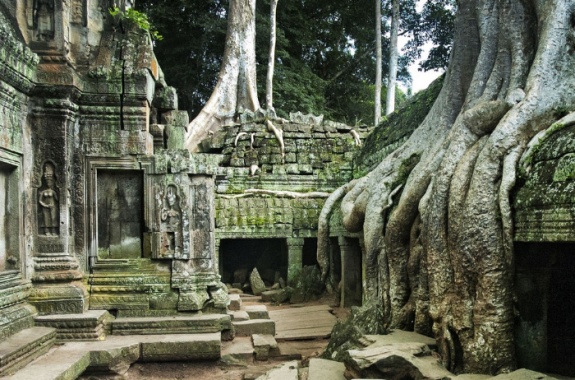 Ta Phrom temple-Small tour