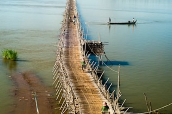 Bamboo Bridge 